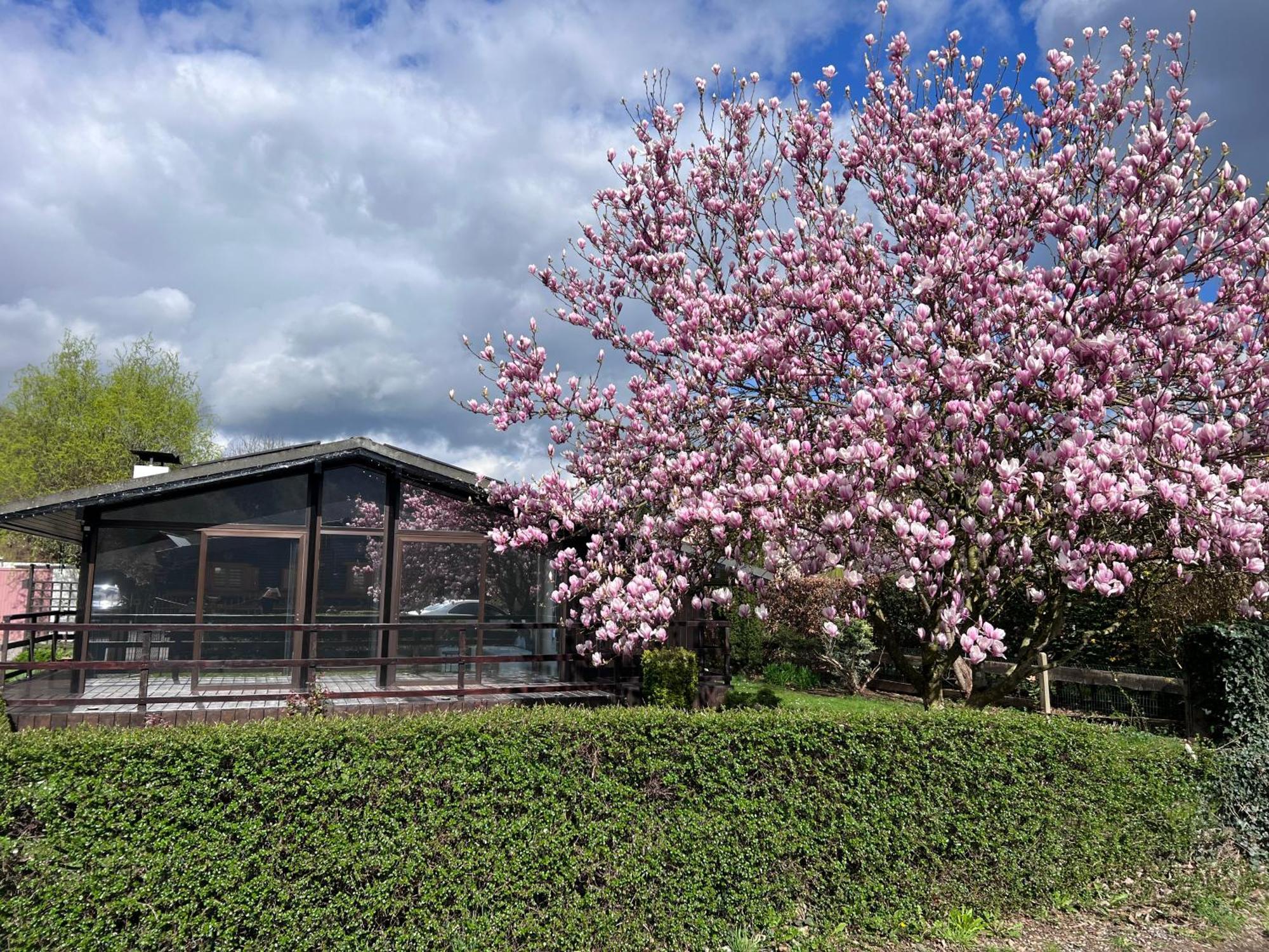 Spacieux Chalet A Aywaille Luaran gambar